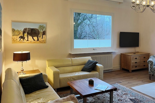 Smart-TV, Kamin, Bücher