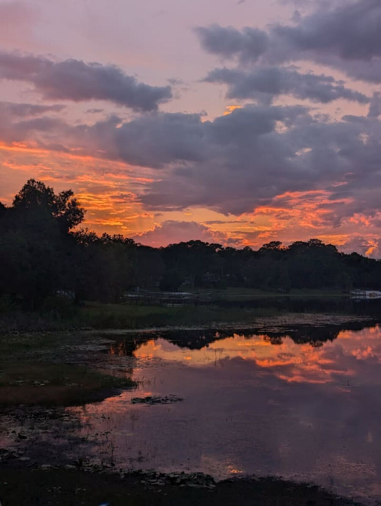A serene landscape with a body of water reflecting the sky, surrounded by trees and a distant structure.