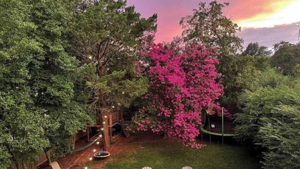 Un patio trasero con un brasero, mobiliario exterior y un gran árbol floreciente.