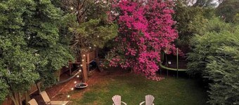 Sunny, Spacious Suite Green & Shaded Backyard