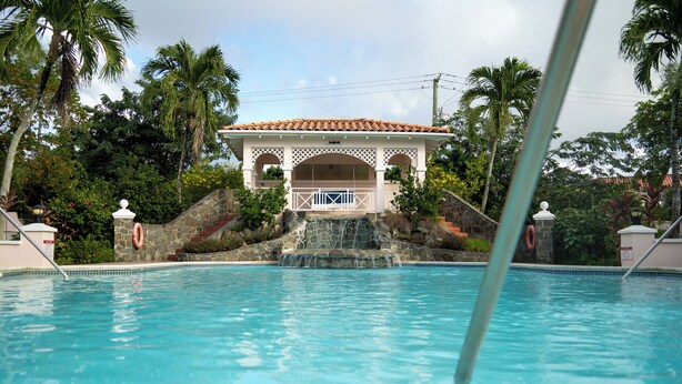 Ein Swimmingpool mit einer Laube im Hintergrund, umgeben von Palmen und viel Grün.