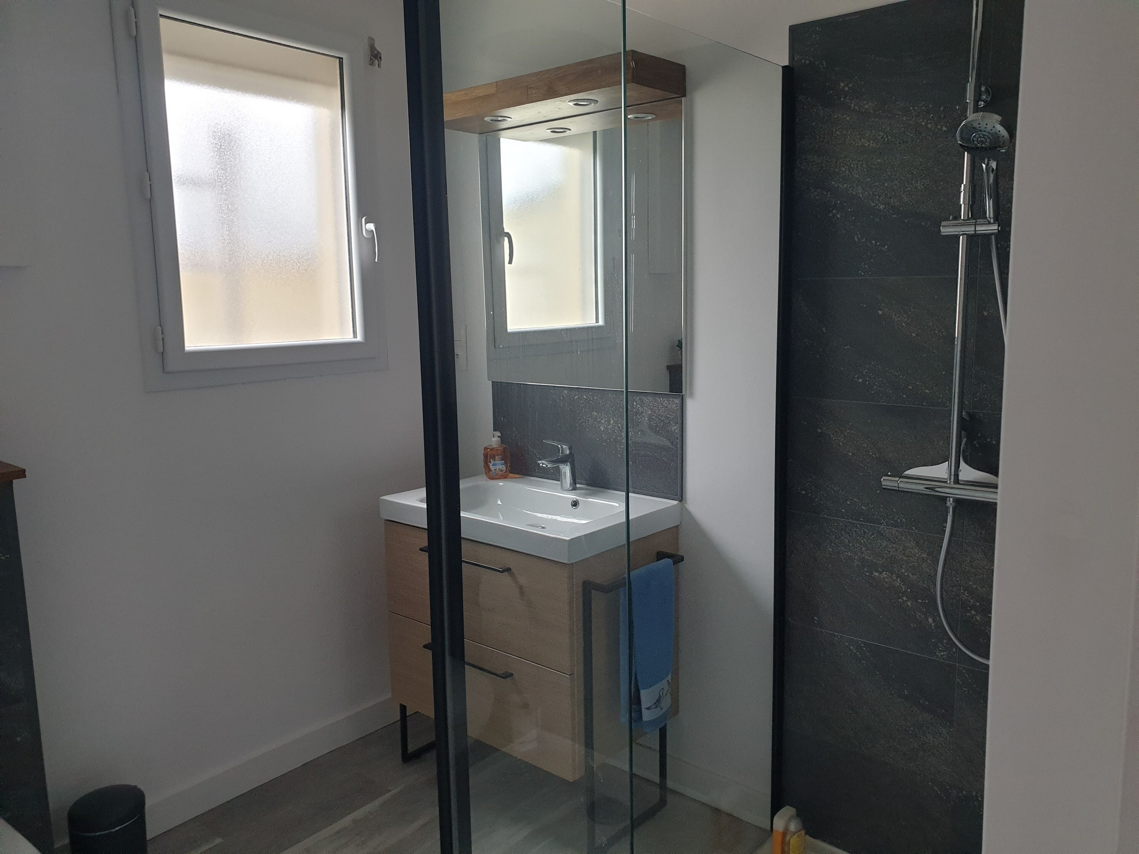 A modern bathroom with a glass shower enclosure, a white sink, and a mirror above it.