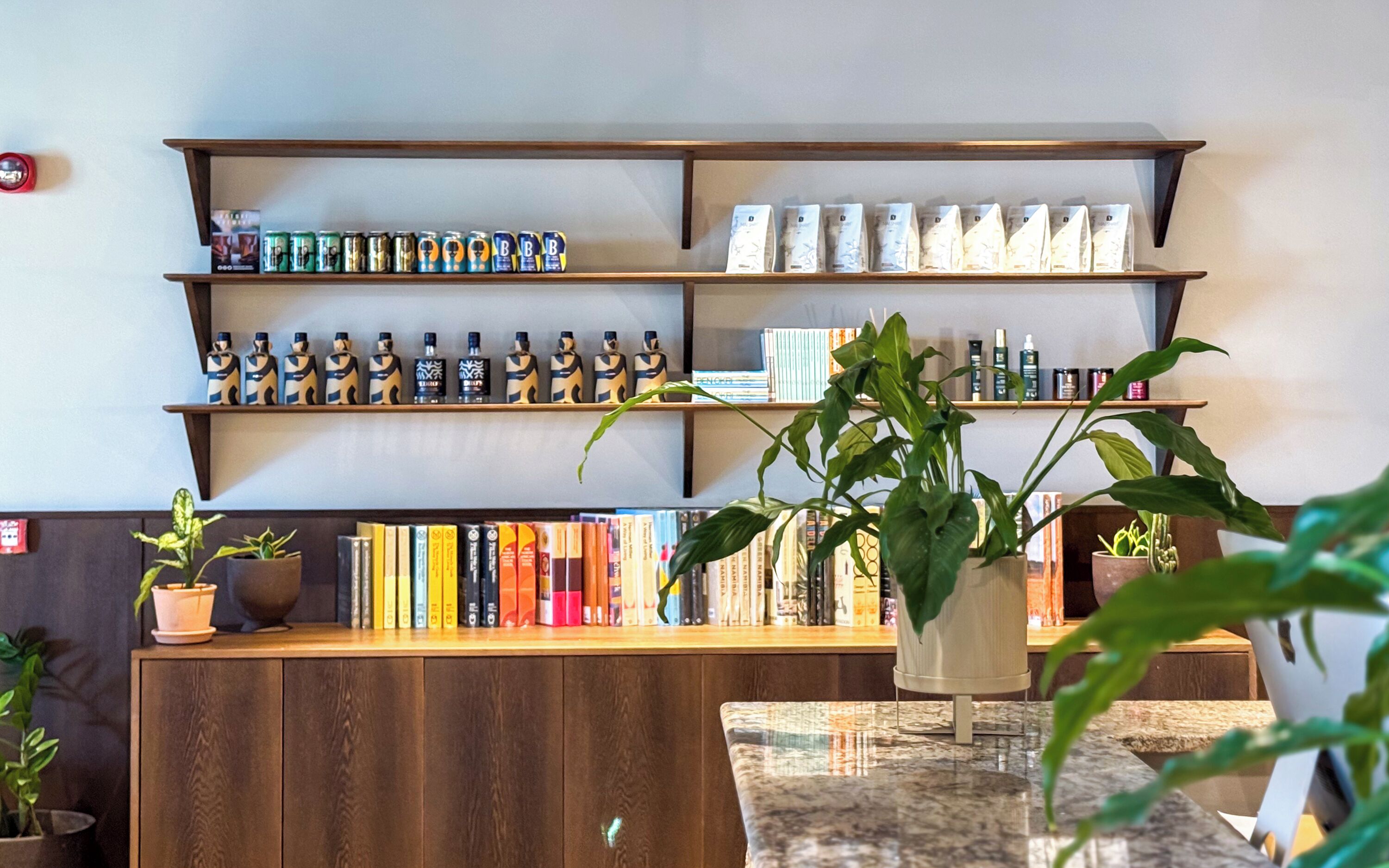 A reception area with a wooden desk, shelves with books and bottles, and potted plants.