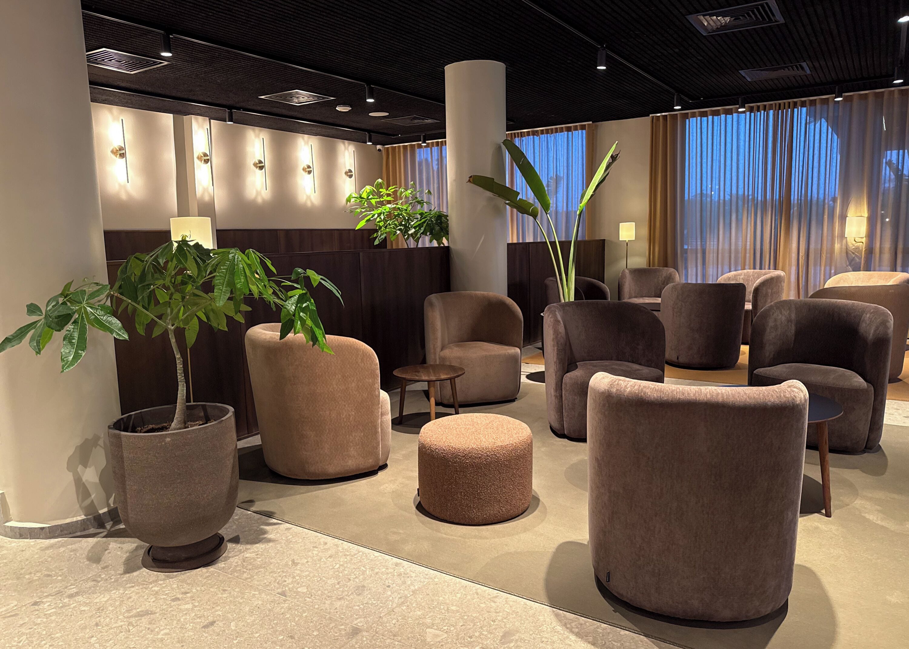A modern lounge area with comfortable seating, large potted plants, and a stylish ceiling design.