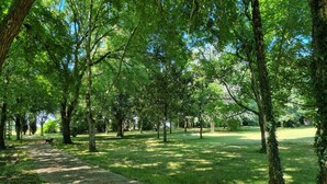 En park med en grusgång, träd och gräs.