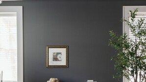 Ein Wohnzimmer mit einem weißen Sofa, einer dunklen Wand, einem gerahmten Bild, einer Pflanze und einem Fenster mit Jalousien.