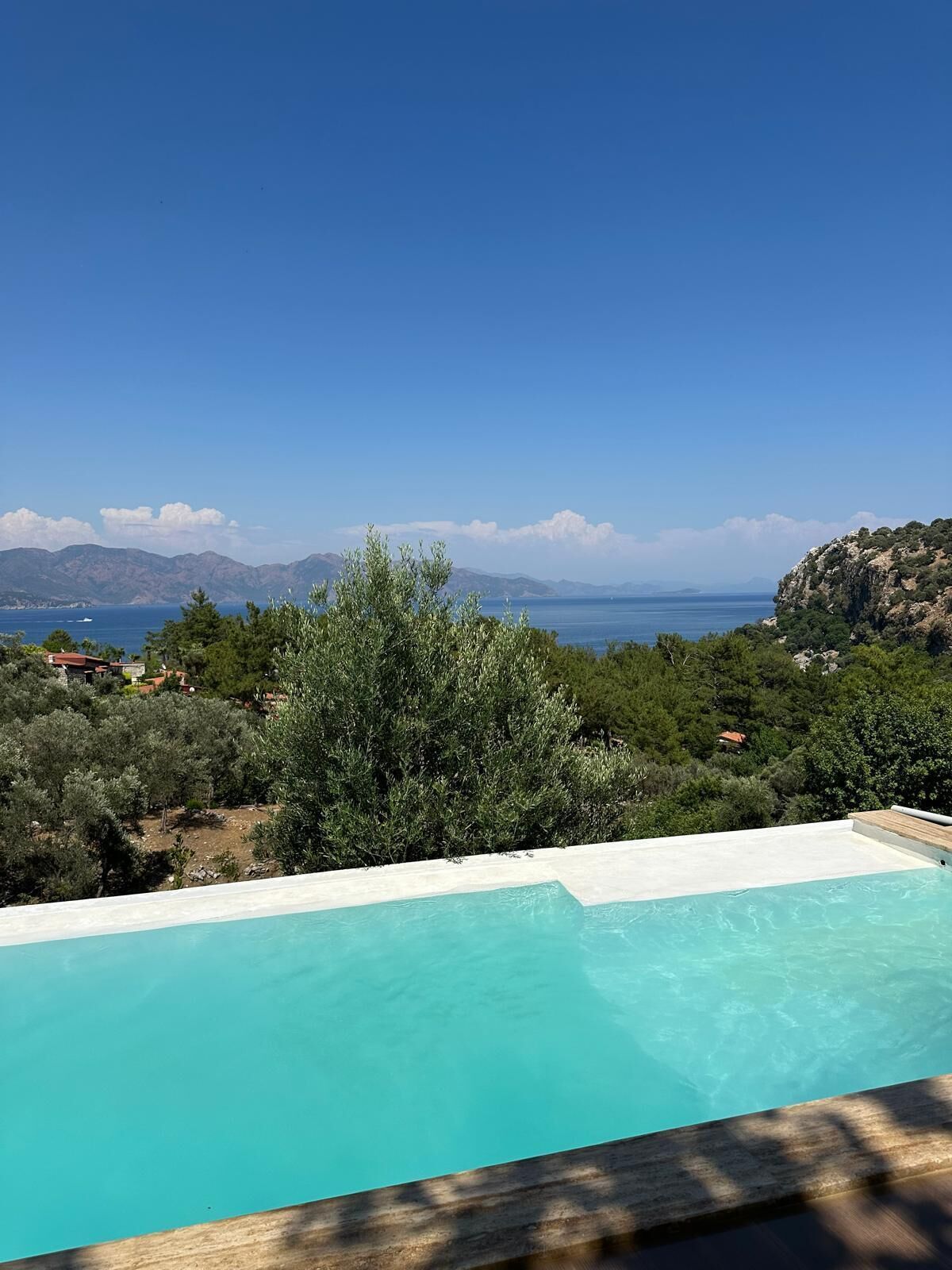 Una vista despejada de una piscina con un muelle de madera, rodeada de vegetación exuberante y con vistas a un paisaje montañoso y un cuerpo de agua a lo lejos.
