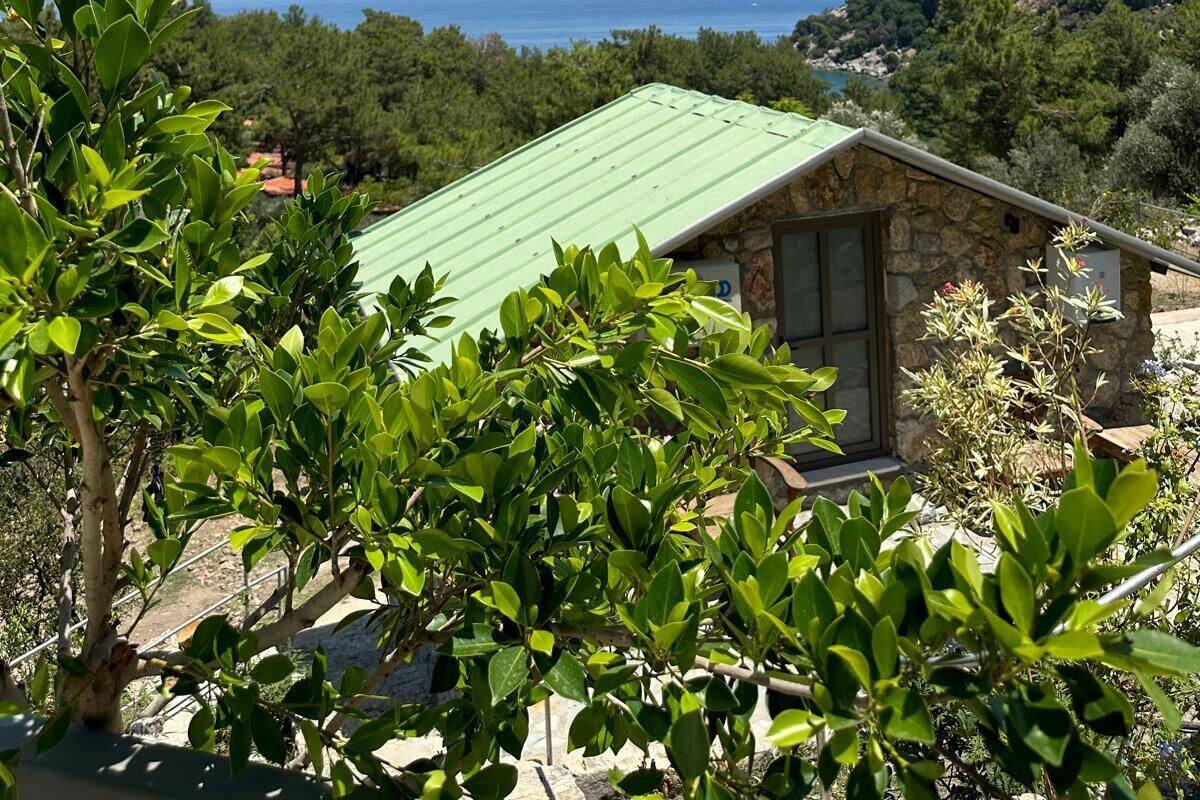 A stone building with a green roof, surrounded by lush greenery and overlooking a mountainous landscape with a clear blue sky.