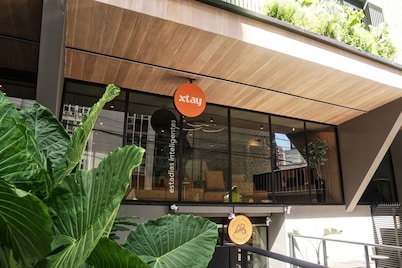 Xtay Oslo Florianópolis