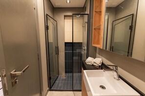 Ducha, cabezal de ducha tipo lluvia, secador de pelo, toallas