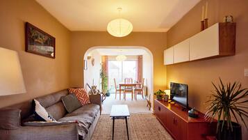 TV, fireplace, books