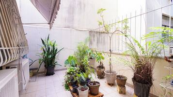 Jardin