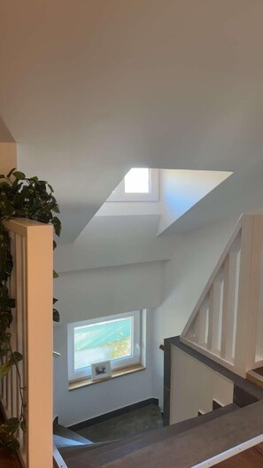 A staircase leading to a loft with a skylight and a small window.