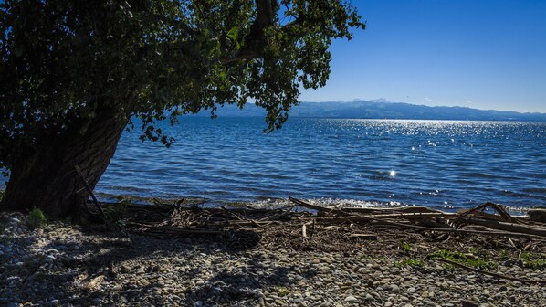 Beach - Seagull Radolfzell (Radolfzell am Bodensee)