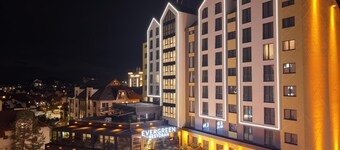 Vila Borova Wellness & Spa รีสอร์ต