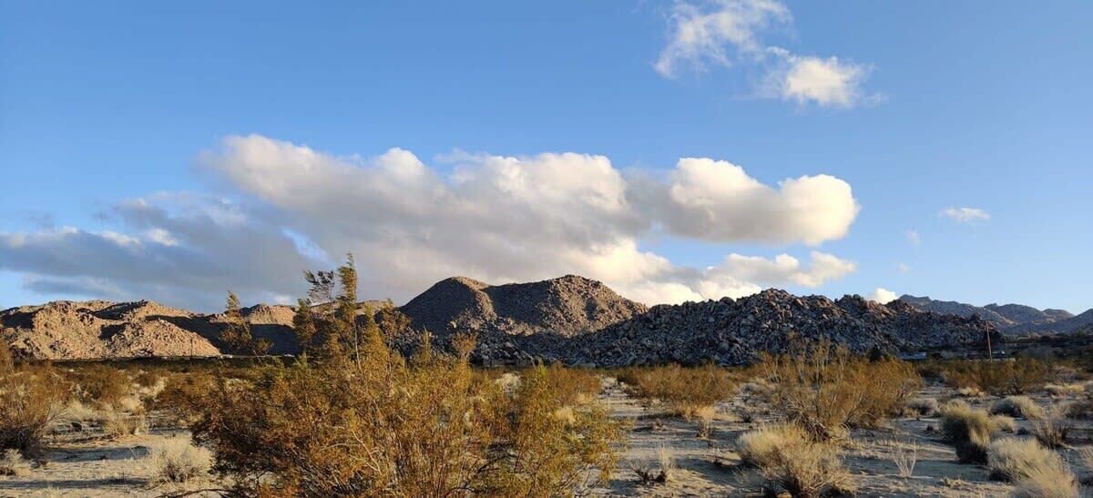 A desert landscape with sparse vegetation and rocky mountains in the background.