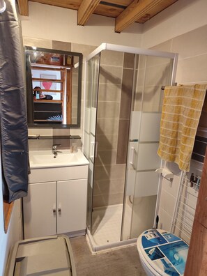 A bathroom with a glass shower enclosure, a sink with a mirror above it, and a toilet with a blue and white tiled seat. - Small chalet in the Landes region, close to the lake, ocean and Dune du Pilat. (Sanguinet)