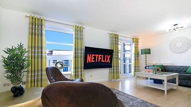Un salon avec un canapé, une table basse, un téléviseur affichant le logo « NETFLIX » et une plante.
