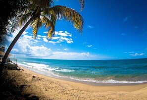 A beach with clear blue water, a sandy shore, and a palm tree. - Steps to Beach/Pool & Jacuzzi/Wave Coast Suite 8! (Rincon)