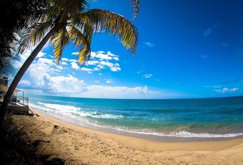 Steps to the Beach w/ Pool & Jacuzzi. Wave Coast Suite 8!