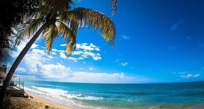Steps to the Beach w/ Pool & Jacuzzi. Wave Coast Suite 8!