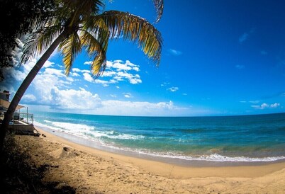 Steps to the Beach w/ Pool & Jacuzzi. Wave Coast Suite 8!
