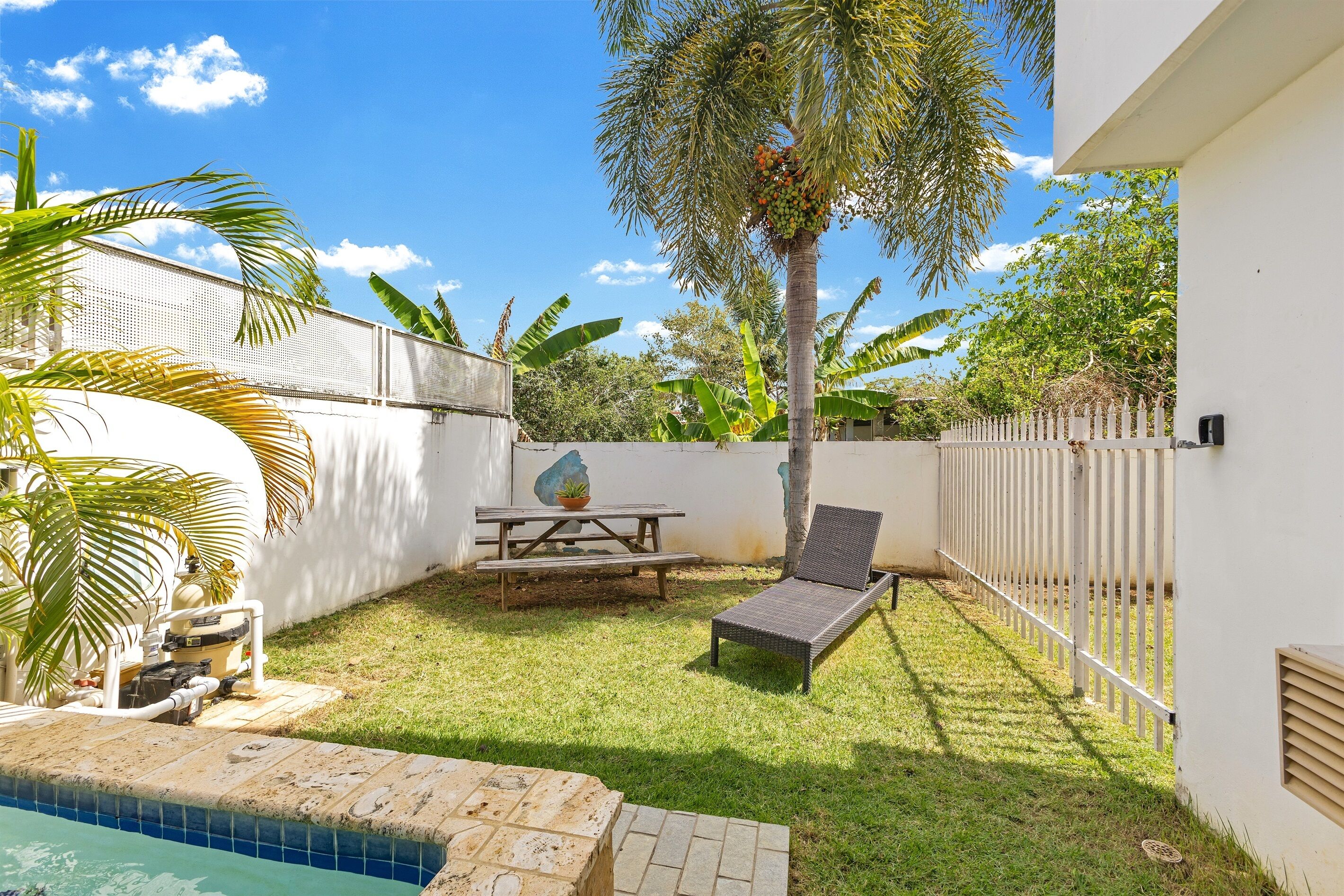 A backyard with a pool, a picnic table, a lounge chair, and a palm tree.