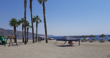AVILEÑA TROPICAL EN AGUADULCE