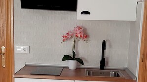Cocina compacta con armarios blancos, una encimera, un lavamanos y una orquídea en maceta.