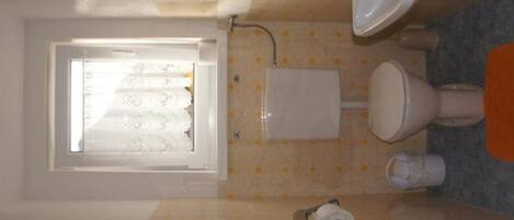 Hair dryer, towels, toilet paper