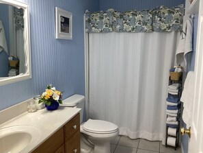 Douche, séchoir à cheveux, serviettes fournies, savon