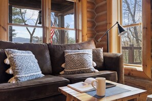 Smart TV, fireplace, books, music library