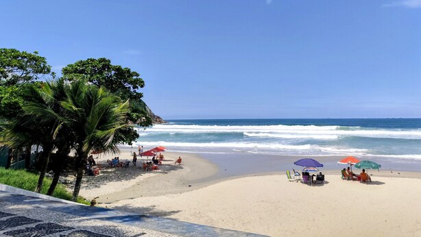 Una spiaggia con palme, una riva sabbiosa e persone che si rilassano sotto gli ombrelloni.