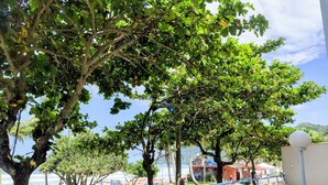Un vialetto lastricato con ringhiera blu, alberi e vista su una spiaggia e edifici sullo sfondo.