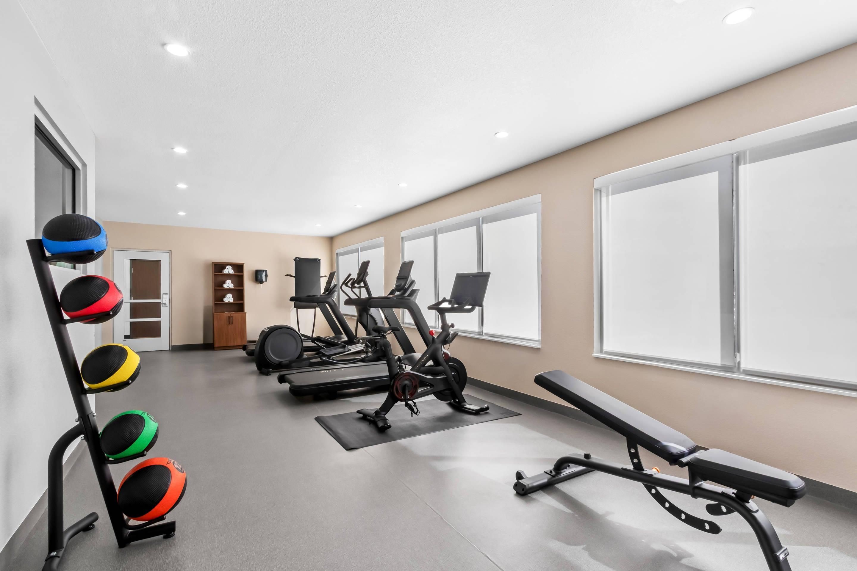 A gym with exercise equipment, a bench, and a wall-mounted rack with exercise balls.