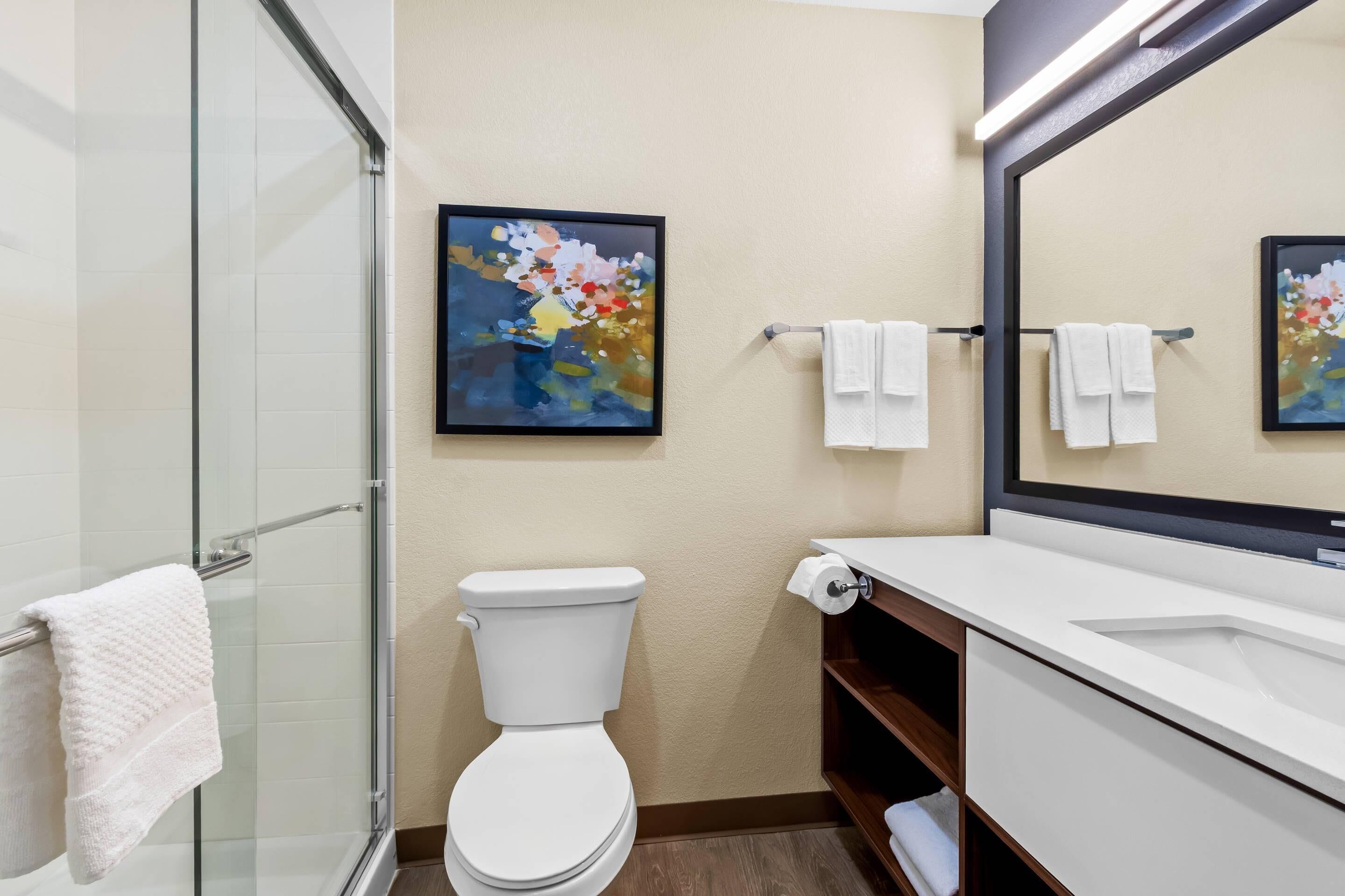 A bathroom with a glass shower enclosure, a toilet, a sink with a mirror, and two framed abstract paintings on the wall.