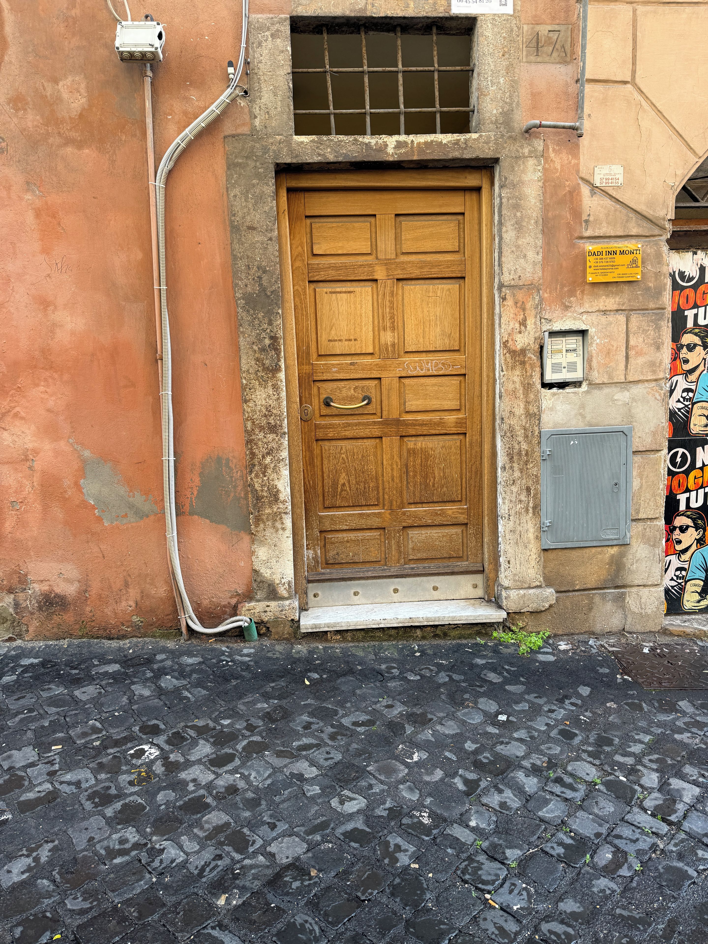 A wooden door with a metal handle, a small step leading up to it, and a utility box to the left.