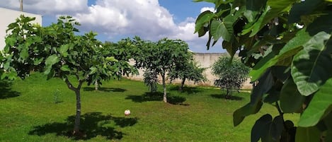 A garden with trees and a white building in the background.