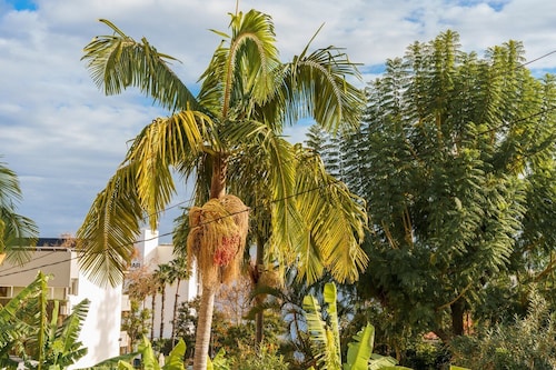 GuestReady - Perfect to relax in Funchal