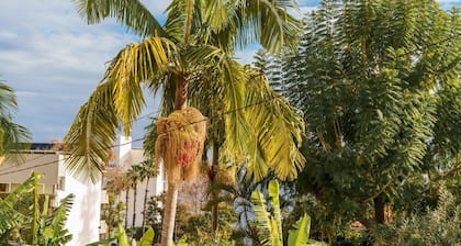 GuestReady - Perfect to relax in Funchal