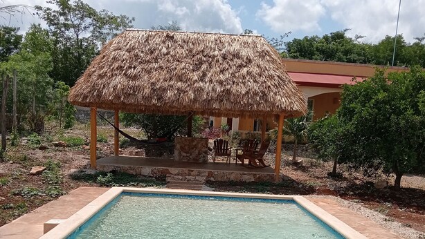 A swimming pool with a thatched-roof gazebo in the background.