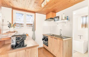 Fridge, microwave, oven, dishwasher - Whole chalet & private spa, 3 parking spaces, ski and lake nearby (Seyne)