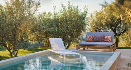 Quinta do Cedro Azul (pintahouse.com)