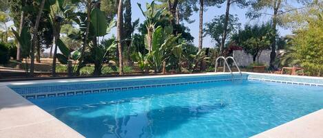Piscine extérieure