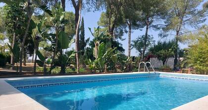 Apartment in the heart of nature near Seville with swimming pool and parking