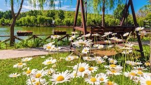 A gazebo with a wooden structure and a bench, surrounded by a garden with daisies and a lake in the background. - Windmills Resort (Gorna Malina)