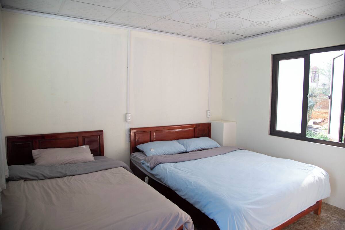 A room with two single beds, a window, and a ceiling with a grid pattern.