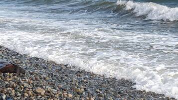 Sun loungers, beach towels
