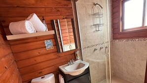 シャワー、タオル、石鹸、トイレットペーパー
