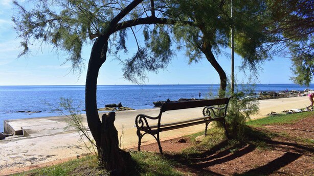 Un banc situé près d’une plage, offrant une vue dégagée sur la mer.